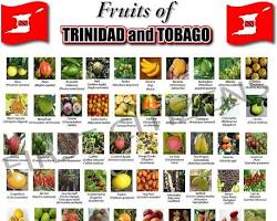 trinidad weight loss fruits